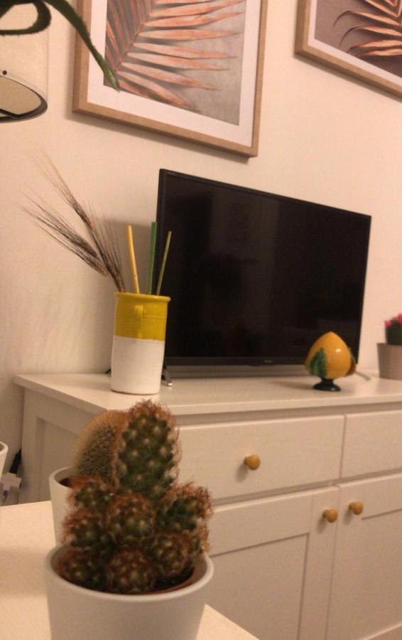 Edyta'S Apartment オストゥーニ エクステリア 写真